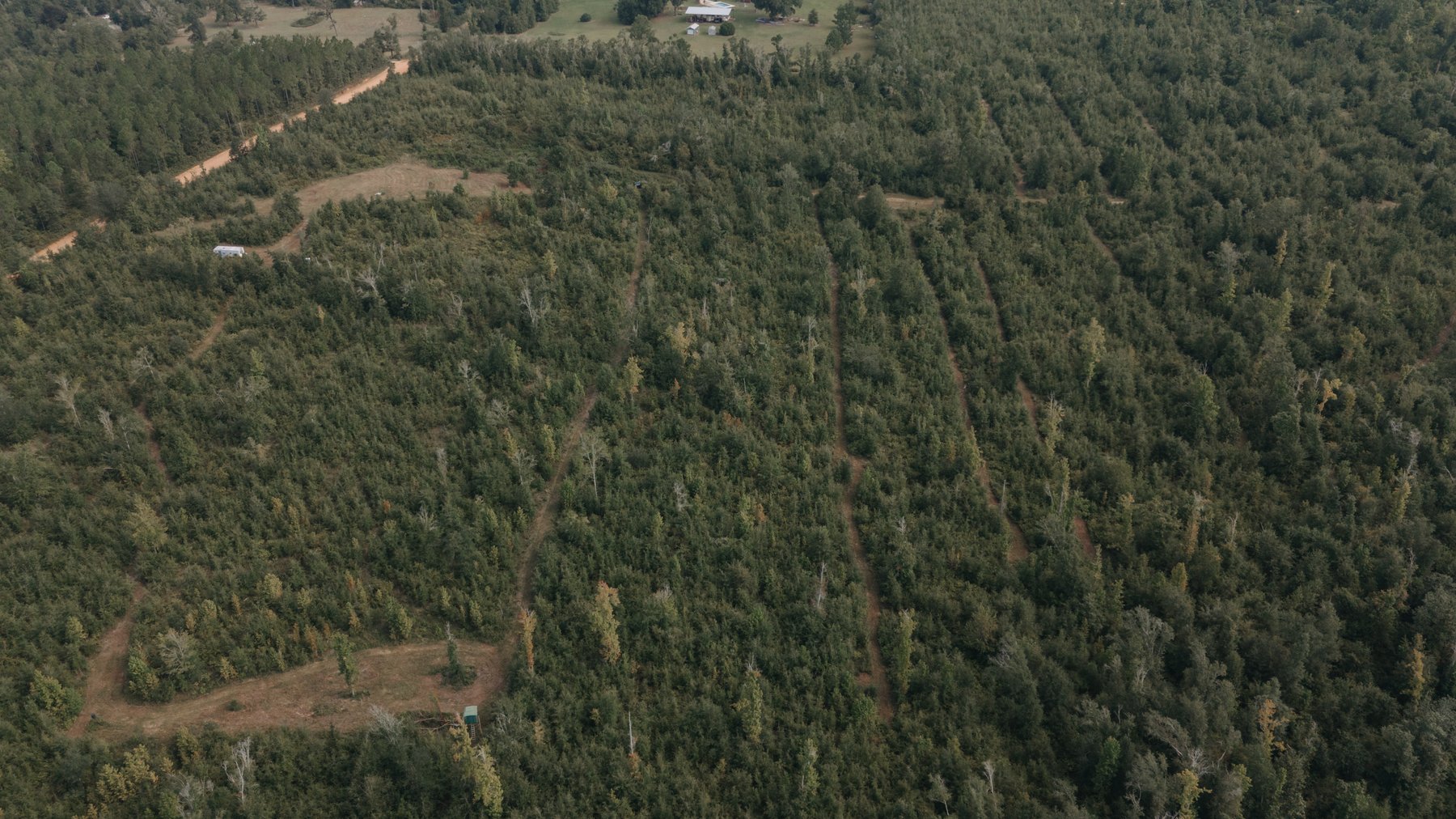 Image for 140.5 +/-  Acre Recreational Tract Jackson County, Florida