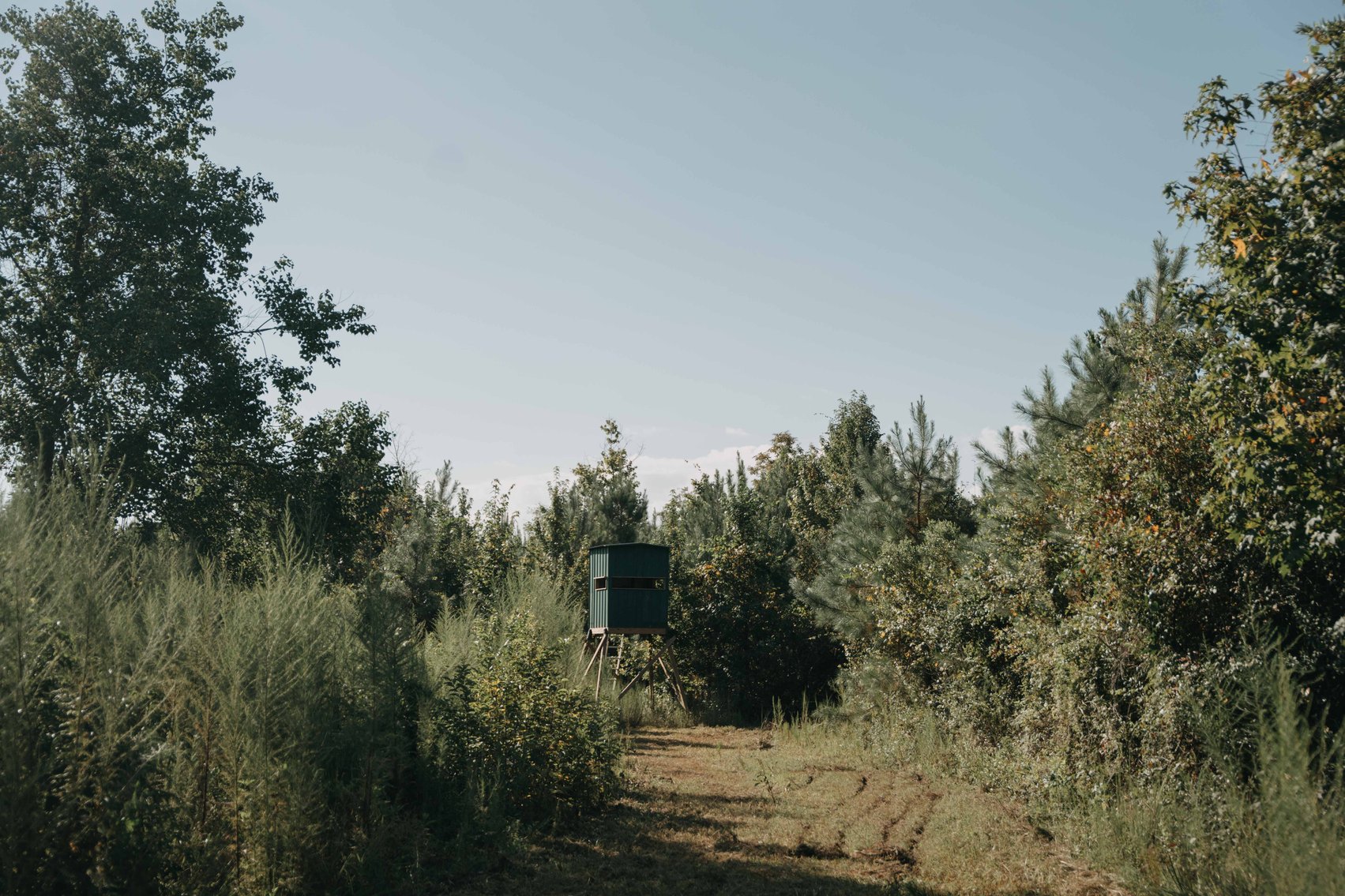 Image for 140.5 +/-  Acre Recreational Tract Jackson County, Florida