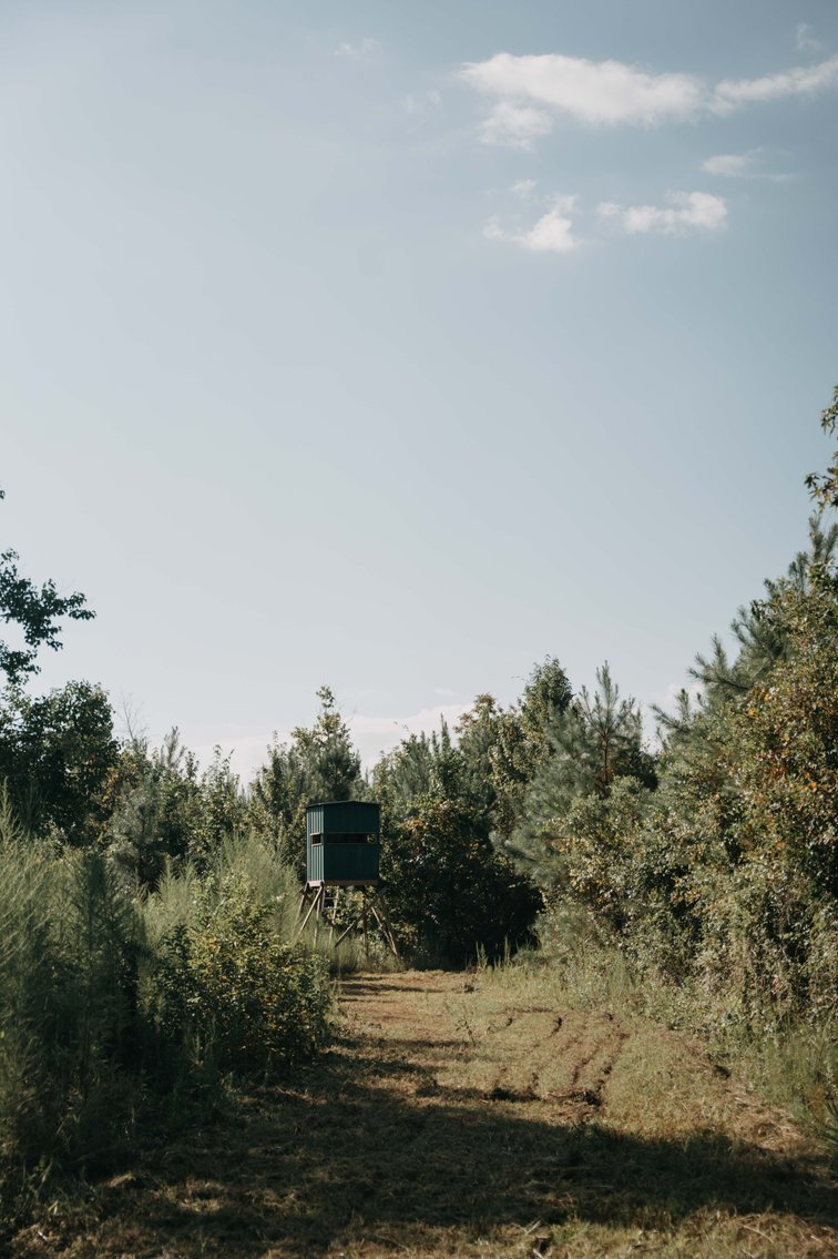 Image for 140.5 +/-  Acre Recreational Tract Jackson County, Florida