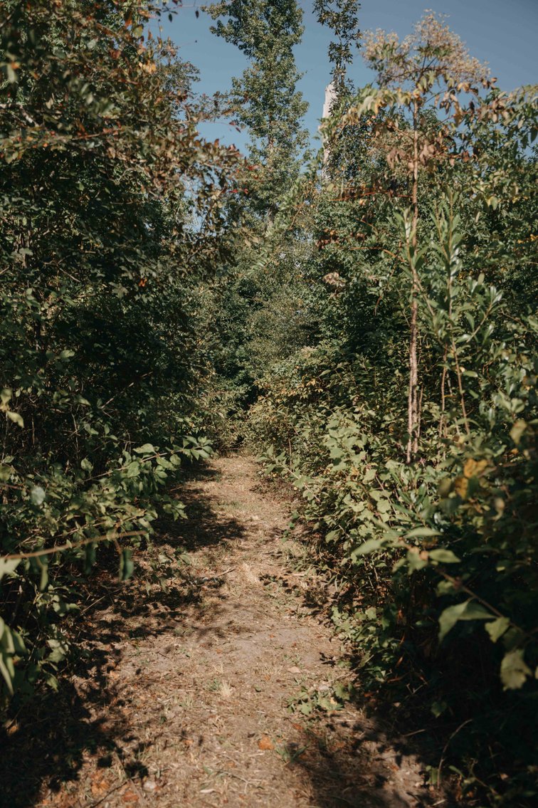 Image for 140.5 +/-  Acre Recreational Tract Jackson County, Florida