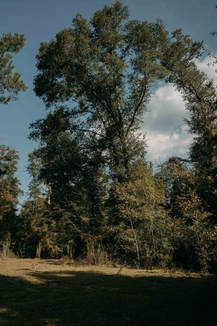 Image for 140.5 +/-  Acre Recreational Tract Jackson County, Florida