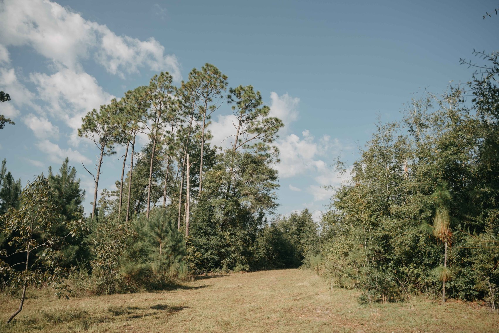 Image for 140.5 +/-  Acre Recreational Tract Jackson County, Florida