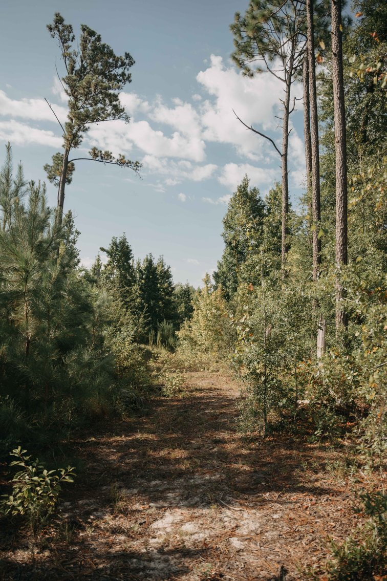 Image for 140.5 +/-  Acre Recreational Tract Jackson County, Florida