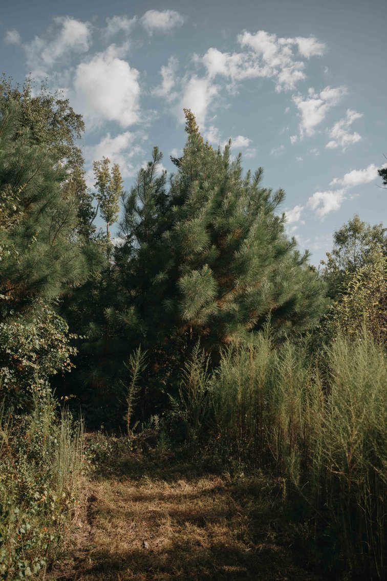 Image for 140.5 +/-  Acre Recreational Tract Jackson County, Florida