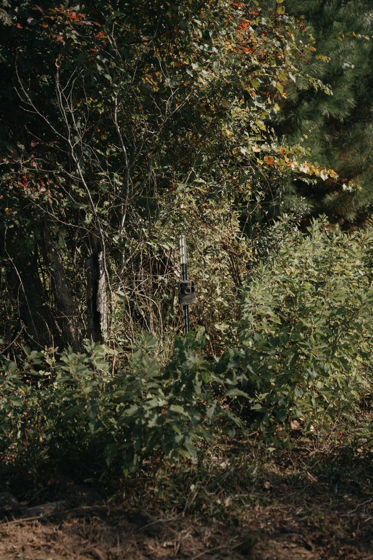 Image for 140.5 +/-  Acre Recreational Tract Jackson County, Florida