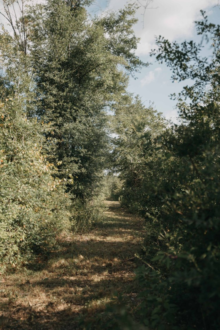 Image for 140.5 +/-  Acre Recreational Tract Jackson County, Florida