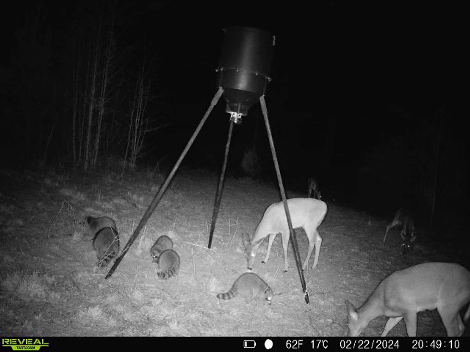 Image for 140.5 +/-  Acre Recreational Tract Jackson County, Florida