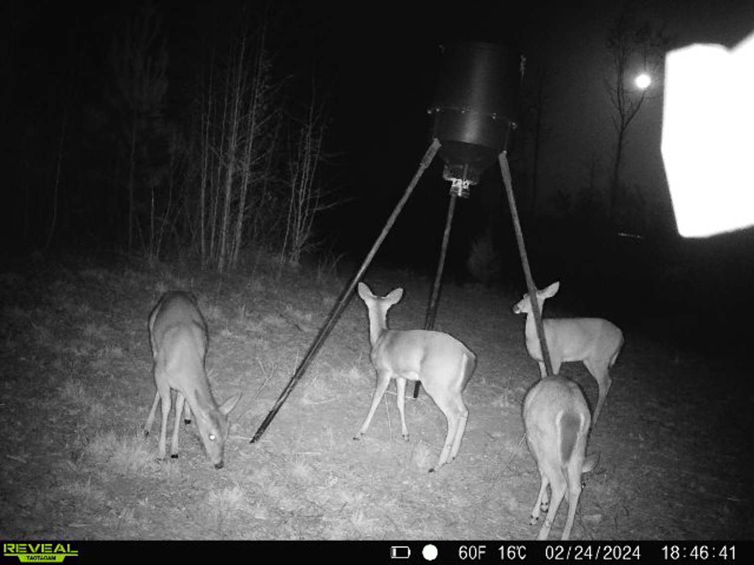 Image for 140.5 +/-  Acre Recreational Tract Jackson County, Florida