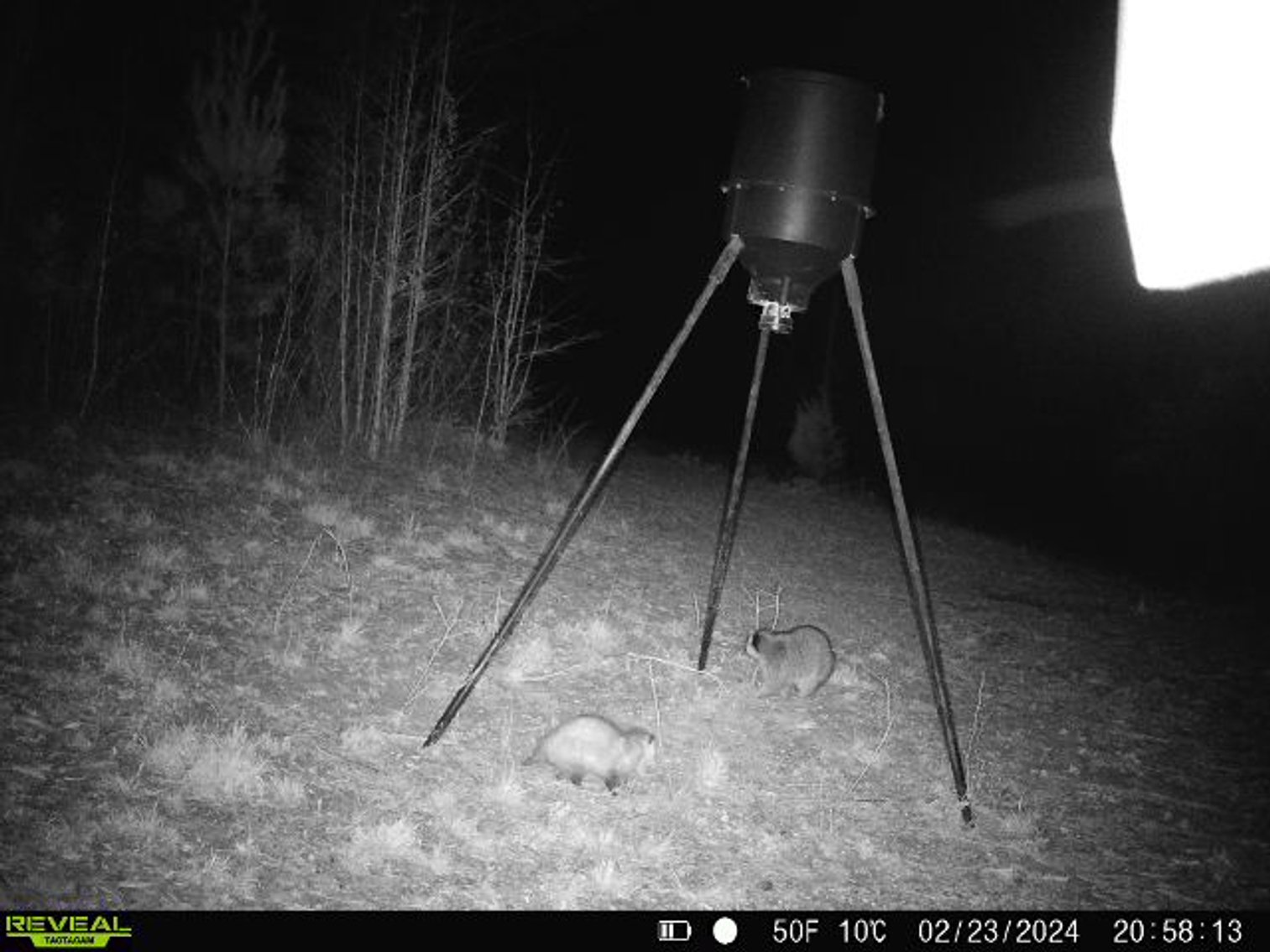 Image for 140.5 +/-  Acre Recreational Tract Jackson County, Florida