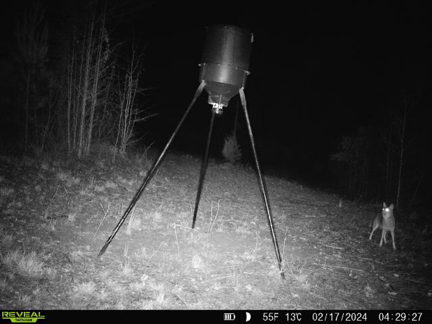 Image for 140.5 +/-  Acre Recreational Tract Jackson County, Florida