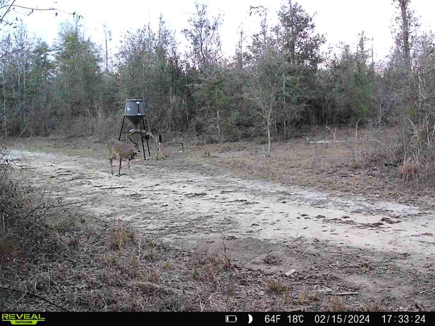 Image for 140.5 +/-  Acre Recreational Tract Jackson County, Florida