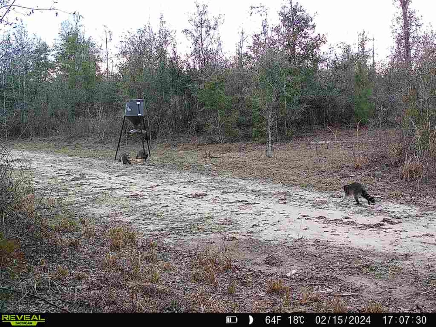 Image for 140.5 +/-  Acre Recreational Tract Jackson County, Florida