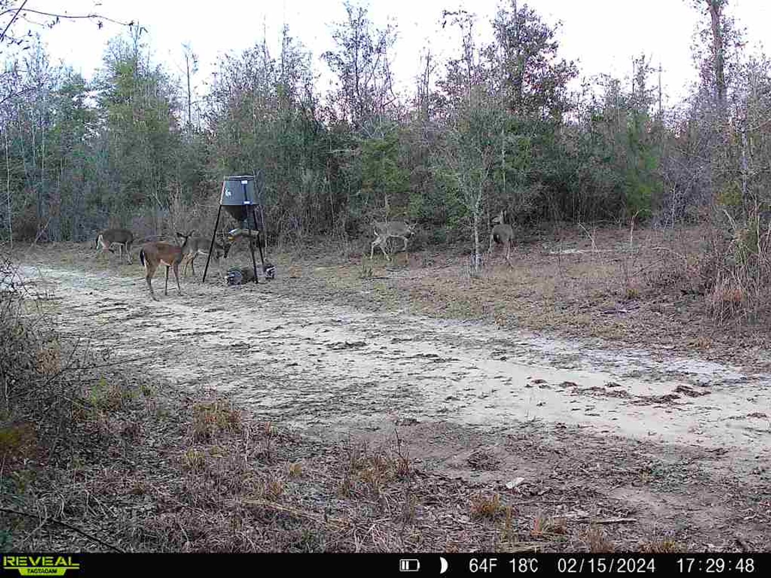 Image for 140.5 +/-  Acre Recreational Tract Jackson County, Florida