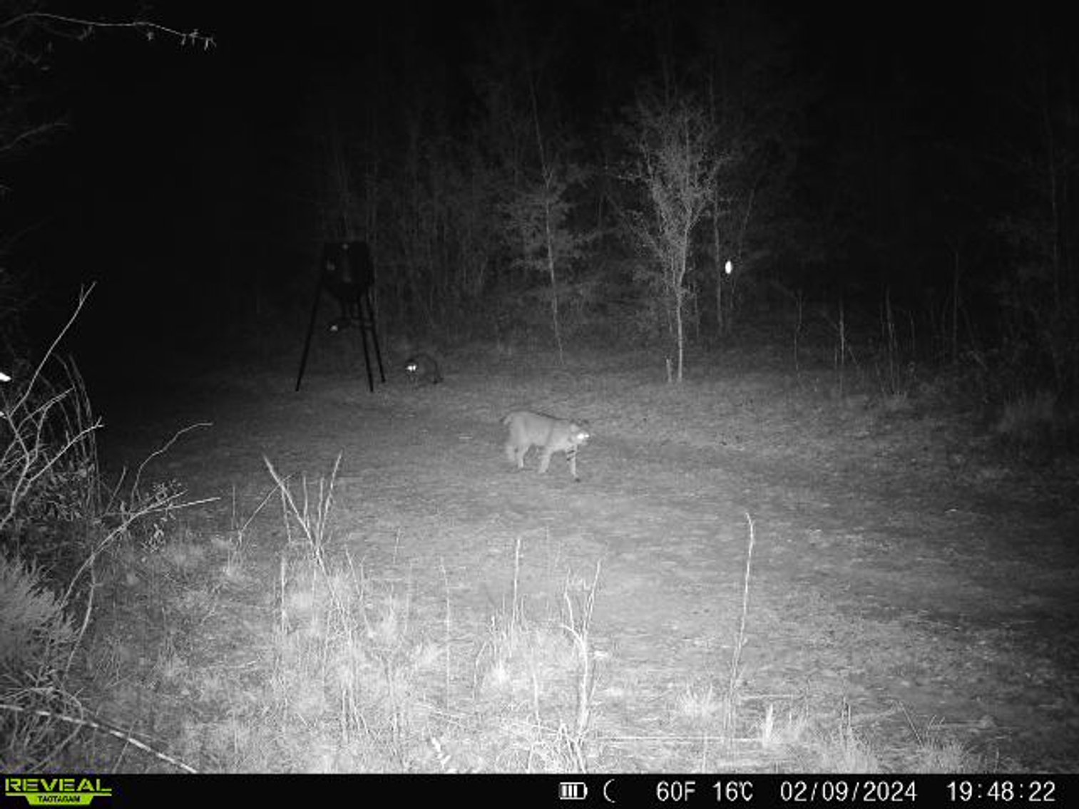 Image for 140.5 +/-  Acre Recreational Tract Jackson County, Florida