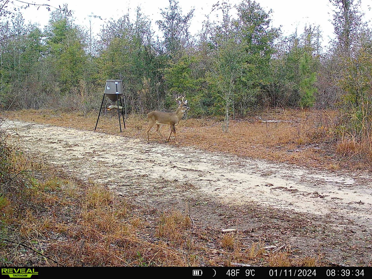 Image for 140.5 +/-  Acre Recreational Tract Jackson County, Florida