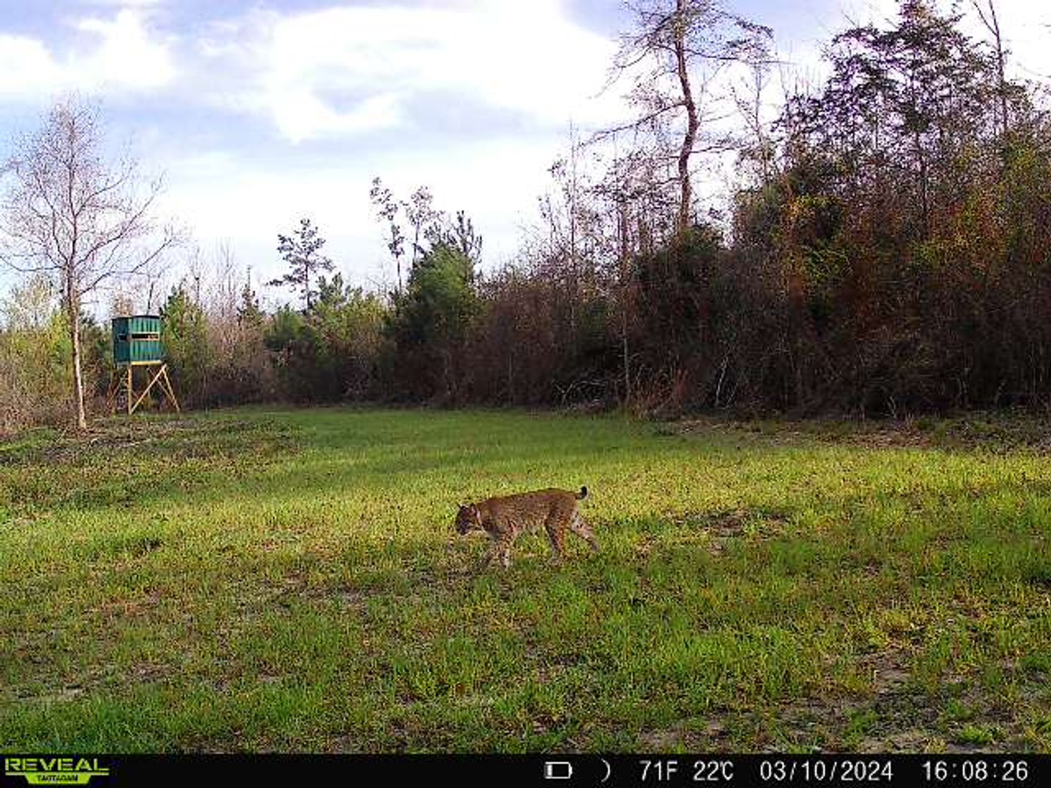 Image for 140.5 +/-  Acre Recreational Tract Jackson County, Florida