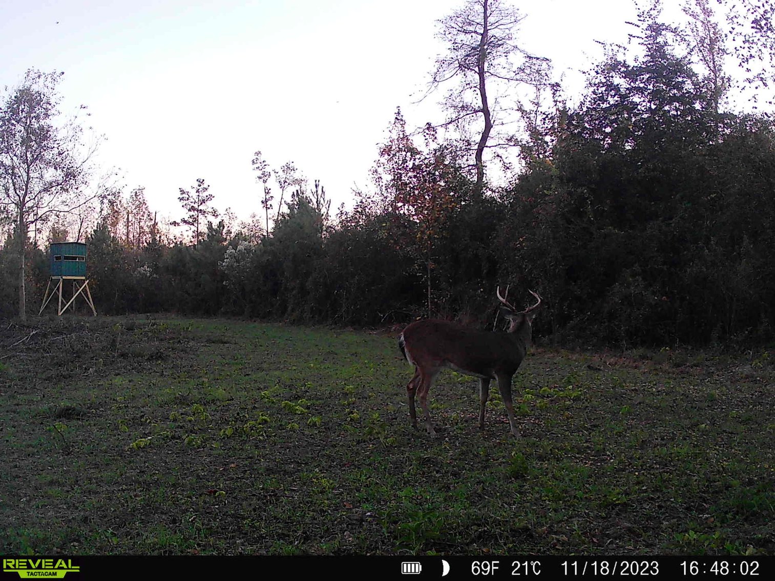 Image for 140.5 +/-  Acre Recreational Tract Jackson County, Florida