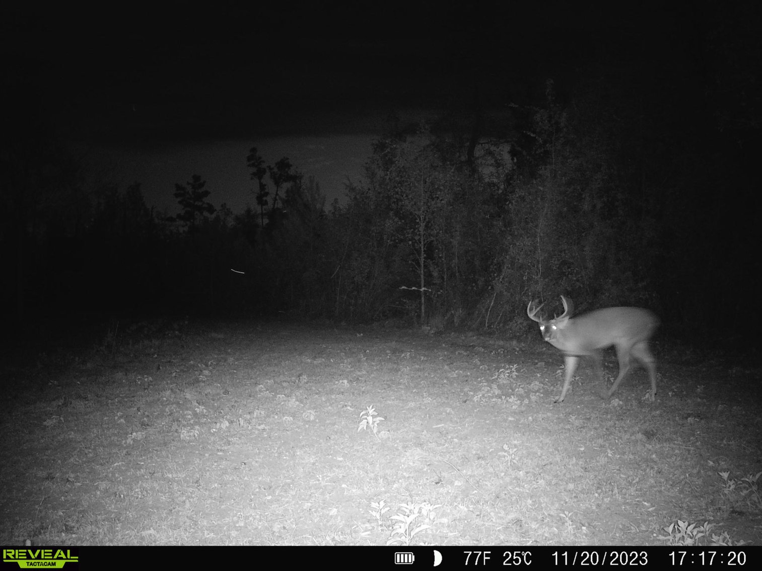 Image for 140.5 +/-  Acre Recreational Tract Jackson County, Florida