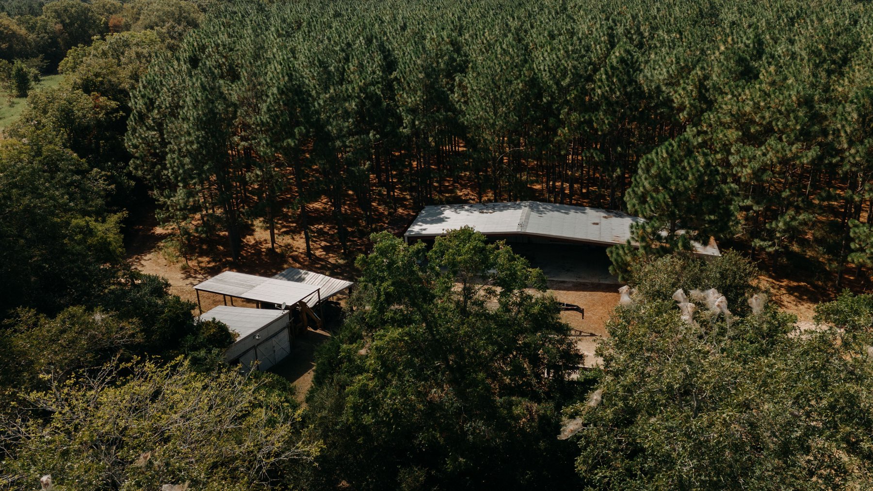 Image for 77.2 +/- Acre Sumter County Retreat: Restored Farmhouse, Hunting Land, and Timber Offered in Four Tracts