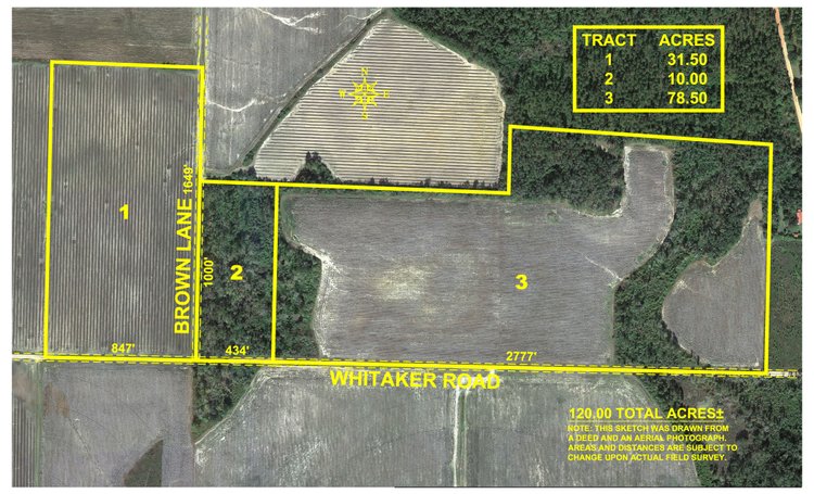 Image for *SOLD* 120 +/- Acres of Prime Agricultural and Recreational Land in Early County, GA *SOLD*