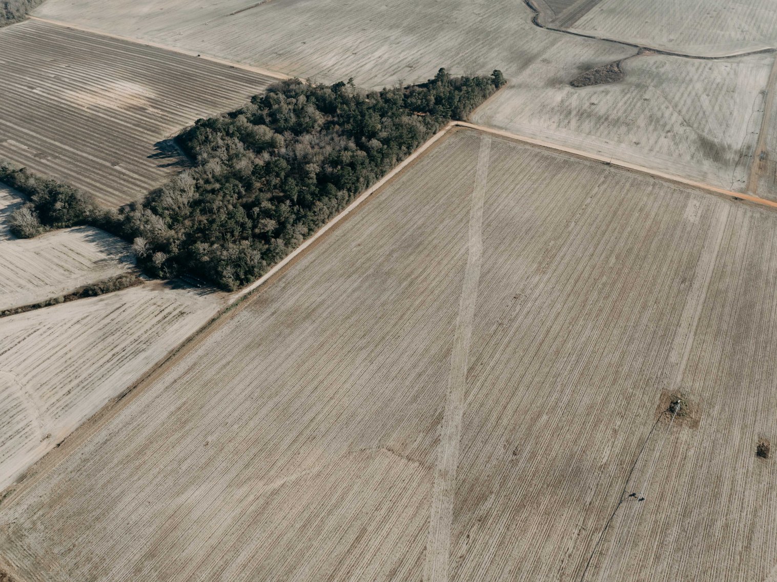 Image for *SOLD* 120 +/- Acres of Prime Agricultural and Recreational Land in Early County, GA *SOLD*