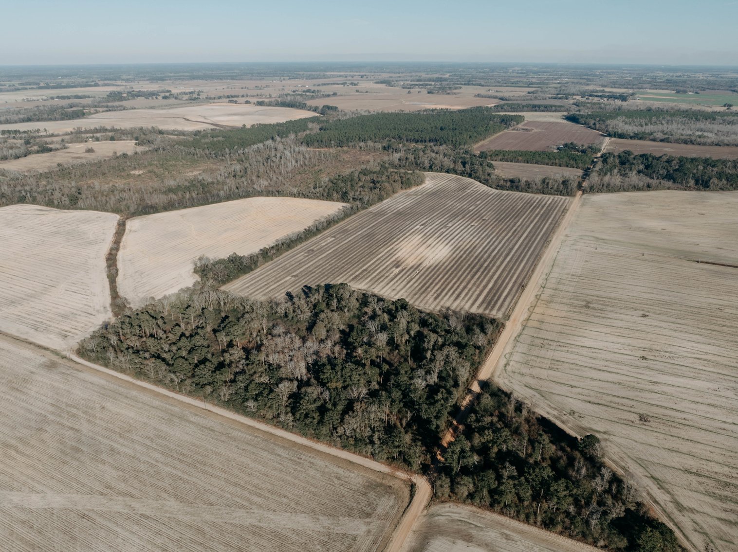 Image for *SOLD* 120 +/- Acres of Prime Agricultural and Recreational Land in Early County, GA *SOLD*