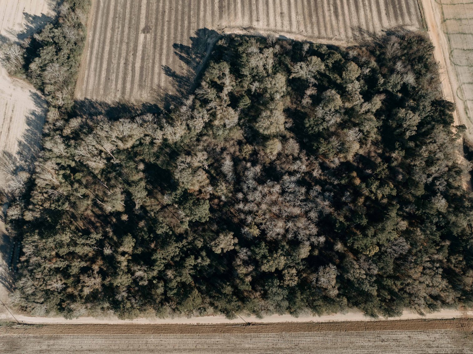 Image for *SOLD* 120 +/- Acres of Prime Agricultural and Recreational Land in Early County, GA *SOLD*