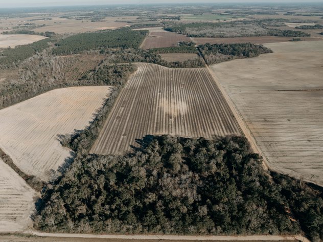 Image for *SOLD* 120 +/- Acres of Prime Agricultural and Recreational Land in Early County, GA *SOLD*