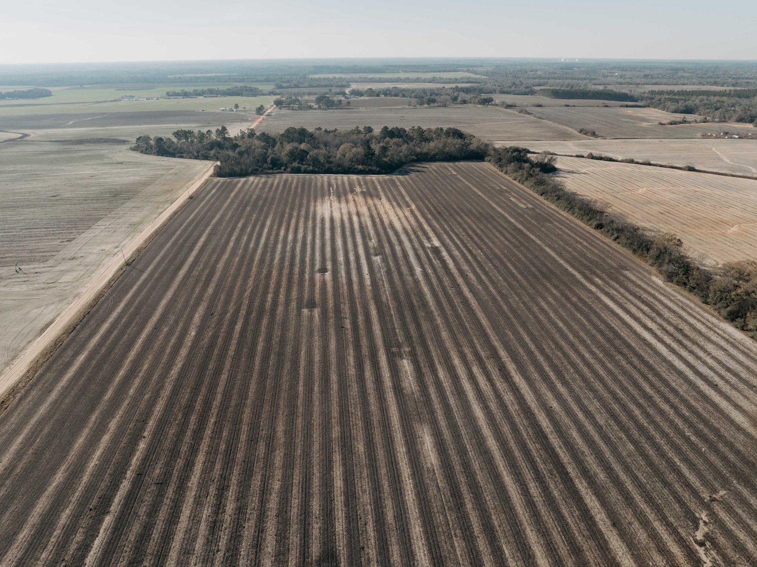 Image for *SOLD* 120 +/- Acres of Prime Agricultural and Recreational Land in Early County, GA *SOLD*