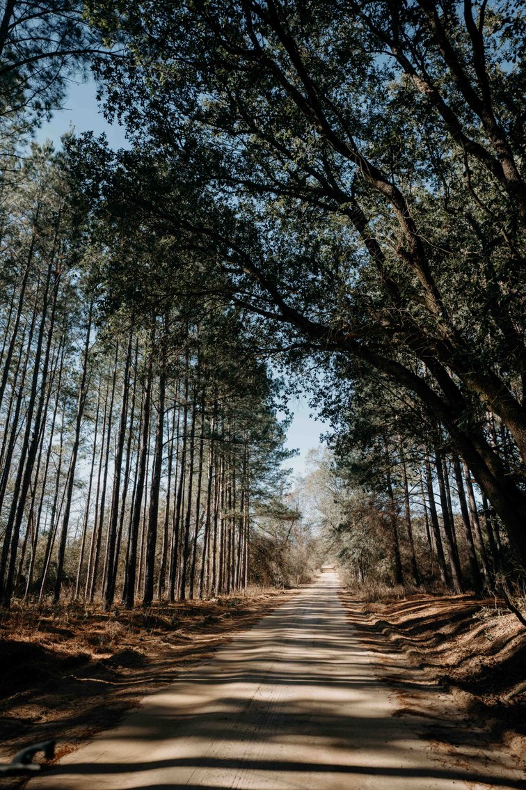 Image for *SOLD* 365.4 +/- Acres of Prime Baker County Farmland – Agricultural, Timber, and Recreational Opportunities *SOLD*