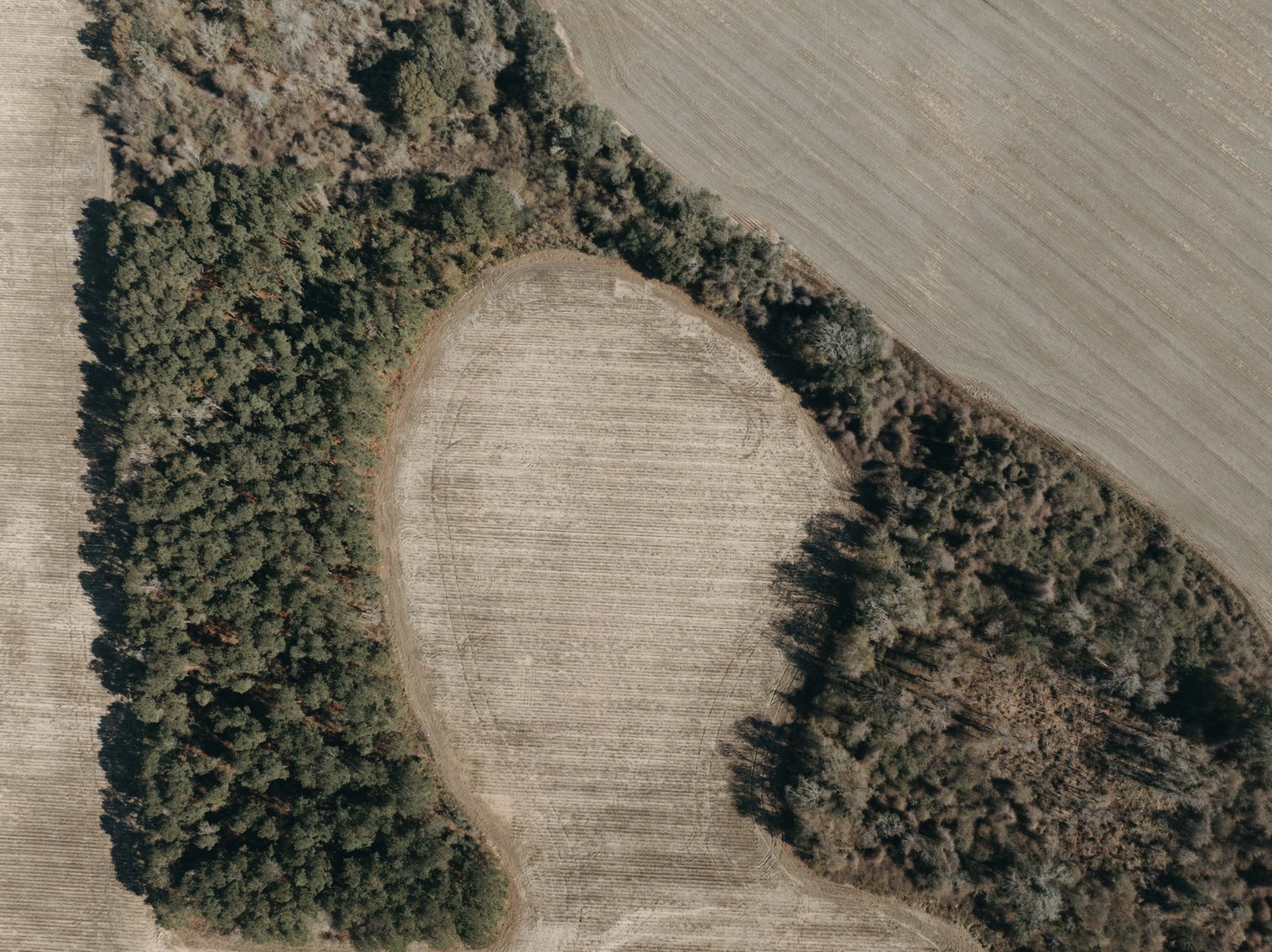 Image for *SOLD* 365.4 +/- Acres of Prime Baker County Farmland – Agricultural, Timber, and Recreational Opportunities *SOLD*