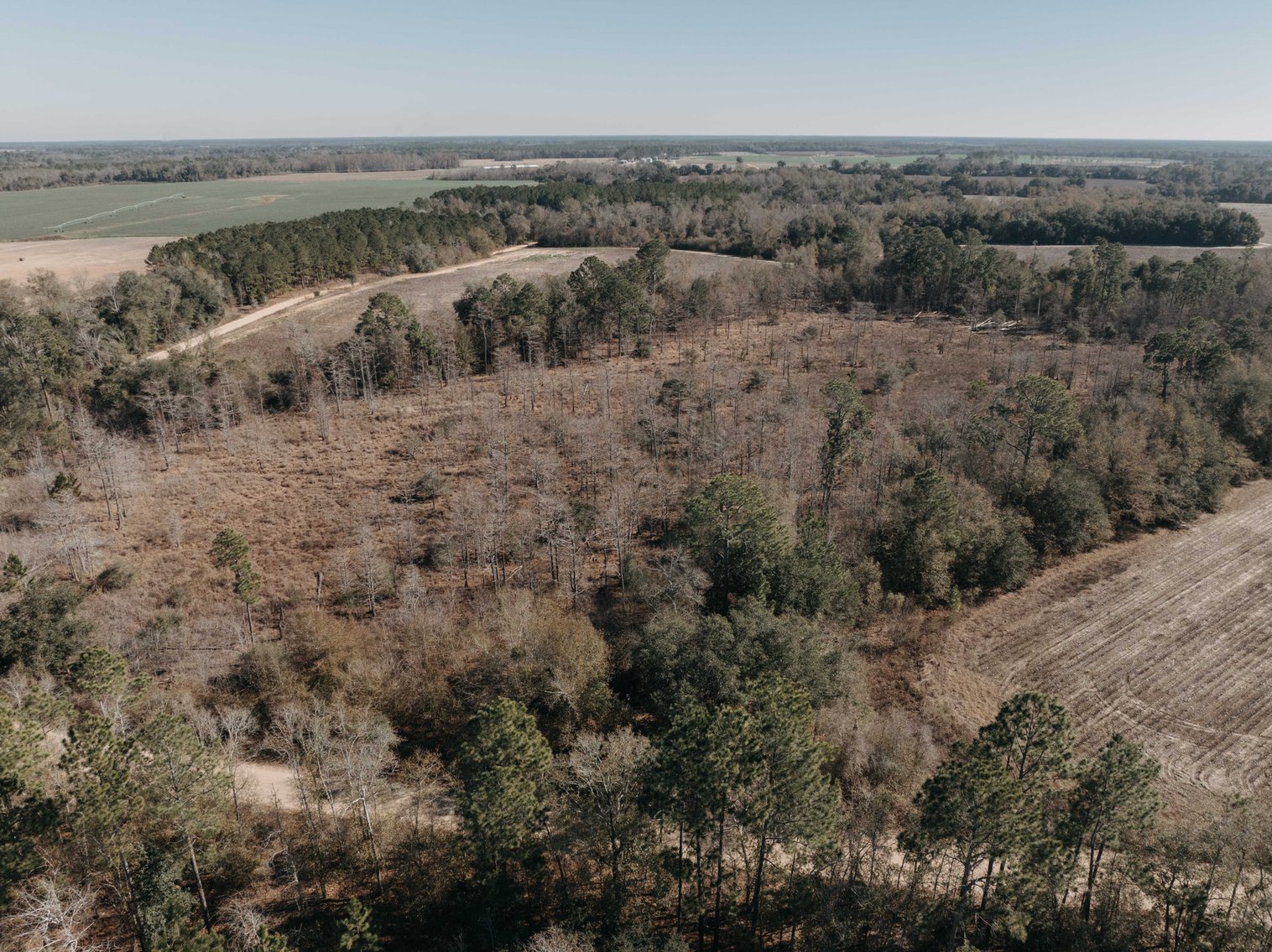 Image for *SOLD* 365.4 +/- Acres of Prime Baker County Farmland – Agricultural, Timber, and Recreational Opportunities *SOLD*