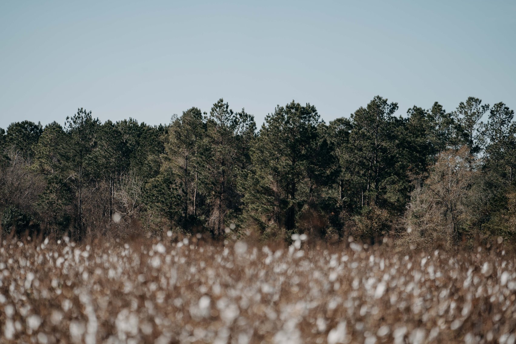 Image for *SOLD* 365.4 +/- Acres of Prime Baker County Farmland – Agricultural, Timber, and Recreational Opportunities *SOLD*