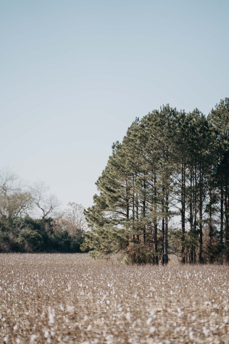 Image for *SOLD* 365.4 +/- Acres of Prime Baker County Farmland – Agricultural, Timber, and Recreational Opportunities *SOLD*