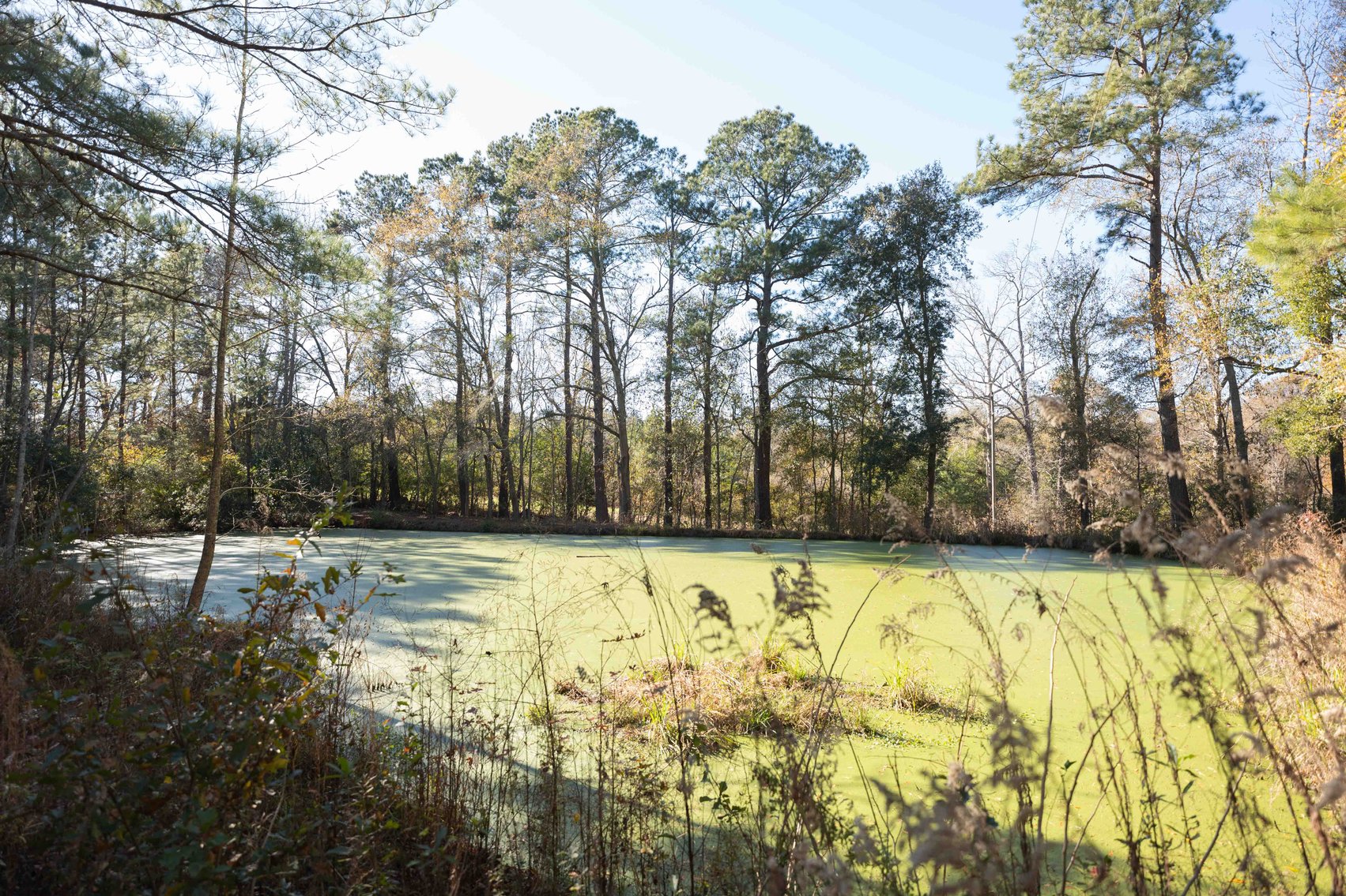 Image for Prime Investment Opportunity. Two Homes on 7.24 Acres Pine Park Road, Cairo, GA