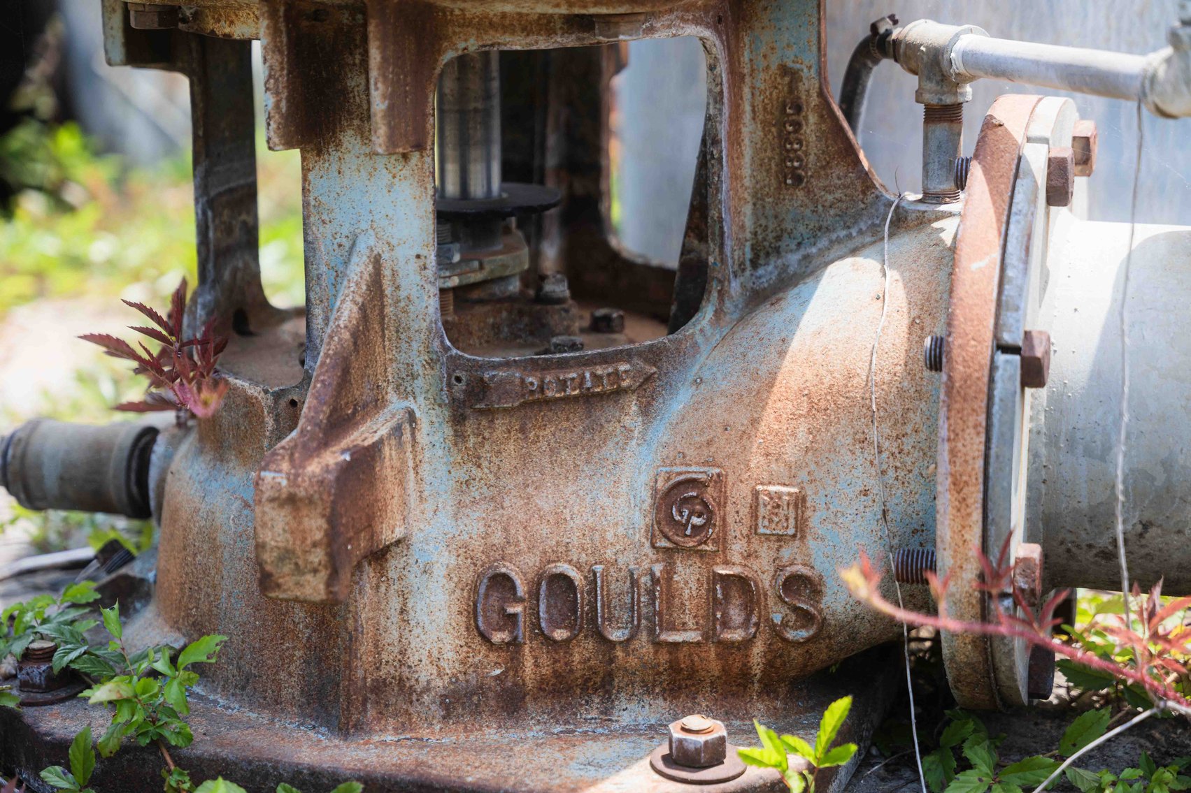 Image for *UNDER CONTRACT * 119± Acres of Irrigated Cropland in Gadsden and Decatur Counties