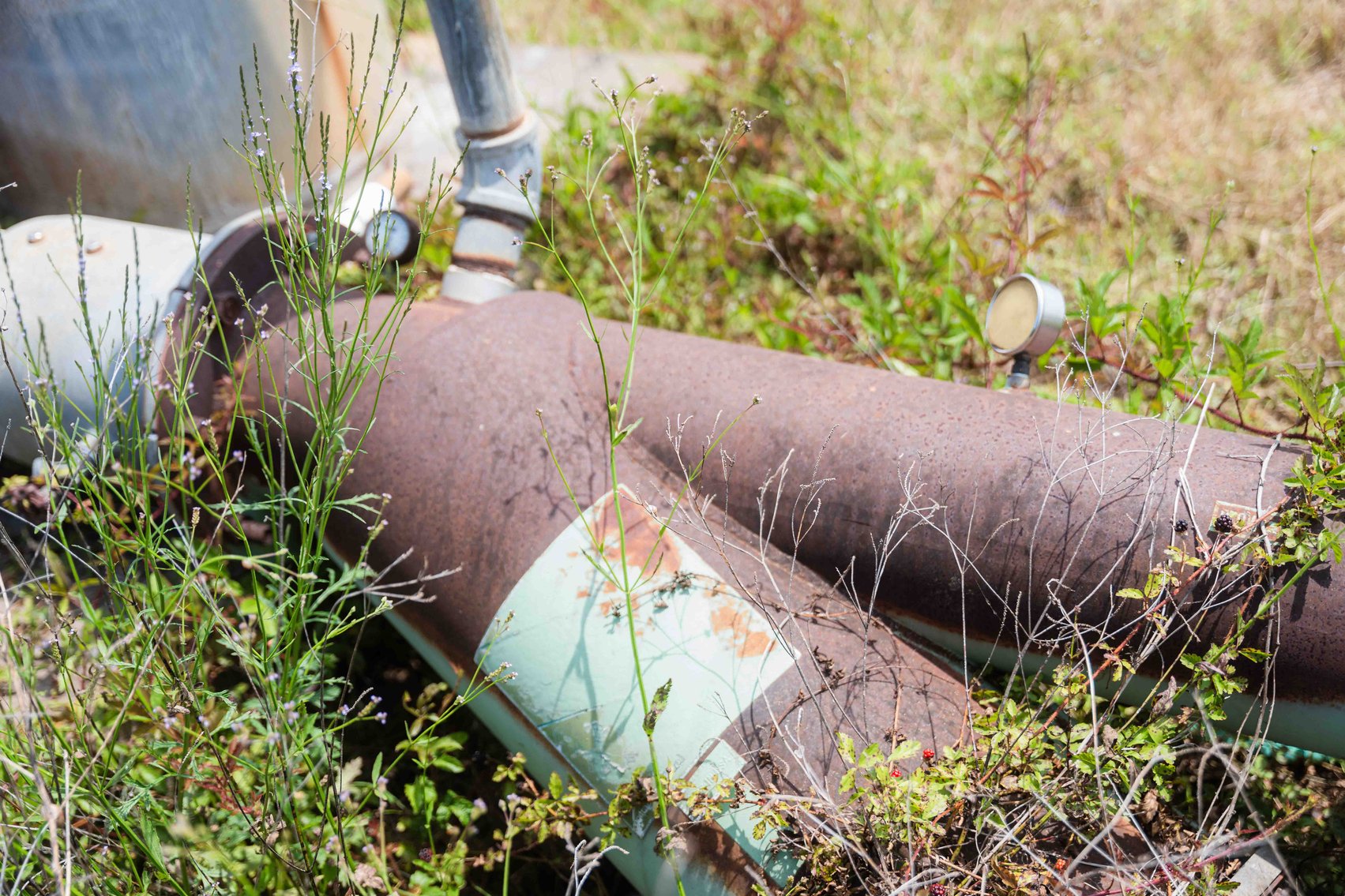 Image for *UNDER CONTRACT * 119± Acres of Irrigated Cropland in Gadsden and Decatur Counties