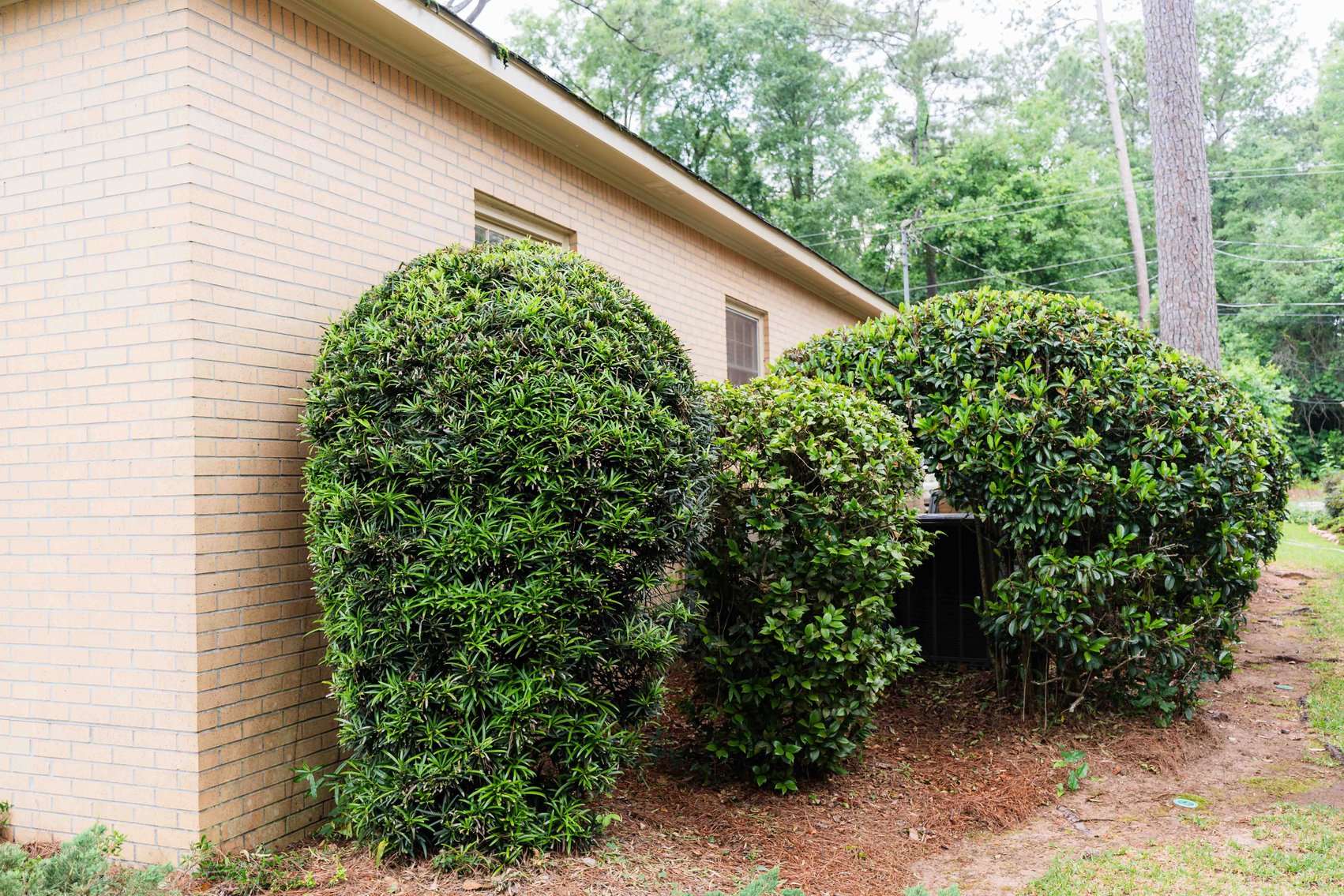 Image for Spacious 2,696 SqFt Brick Home on 0.735 Acres in Albany, GA