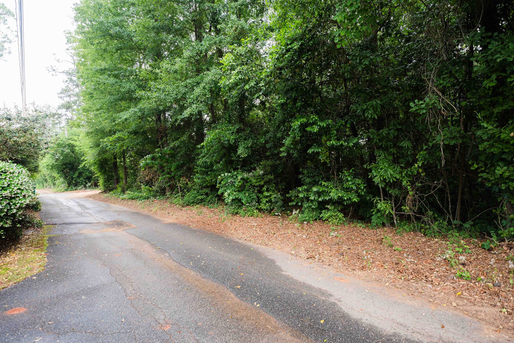 Image for Spacious 2,696 SqFt Brick Home on 0.735 Acres in Albany, GA