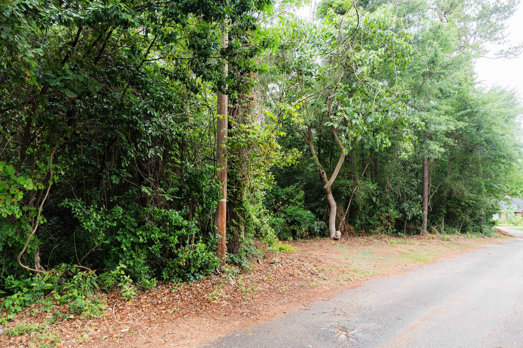 Image for Spacious 2,696 SqFt Brick Home on 0.735 Acres in Albany, GA