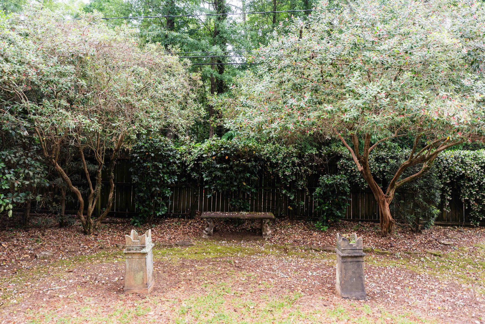 Image for Spacious 2,696 SqFt Brick Home on 0.735 Acres in Albany, GA