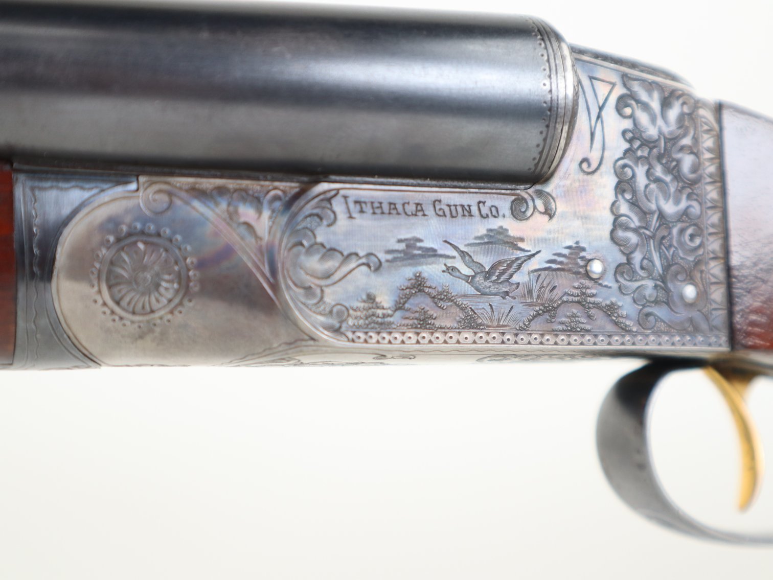 Image for Summer Sportsman Auction 2025