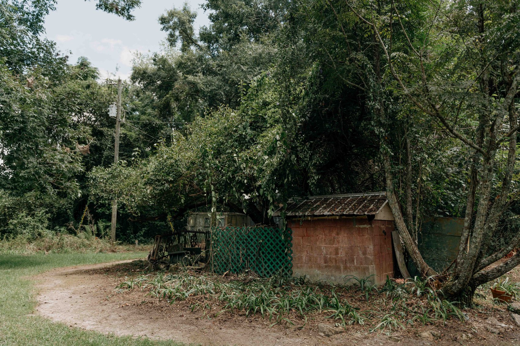 Image for 2,472 +/- Sq Ft Brick Home on 5 Acres in Thomas County, Georgia