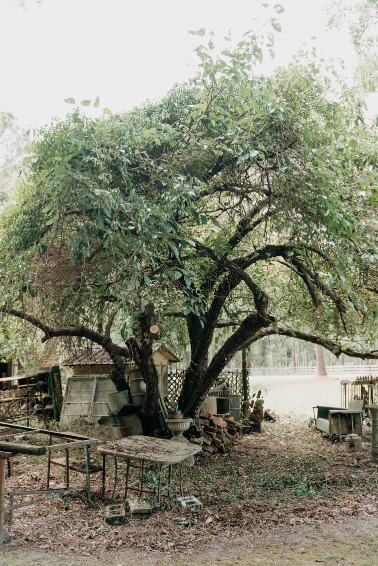 Image for 2,472 +/- Sq Ft Brick Home on 5 Acres in Thomas County, Georgia