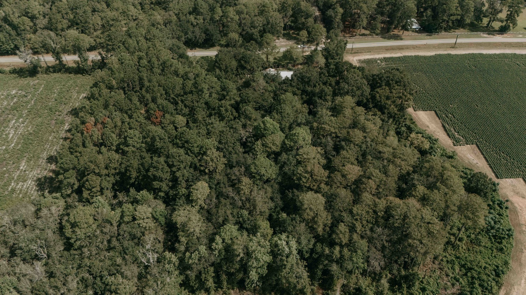 Image for 2,472 +/- Sq Ft Brick Home on 5 Acres in Thomas County, Georgia