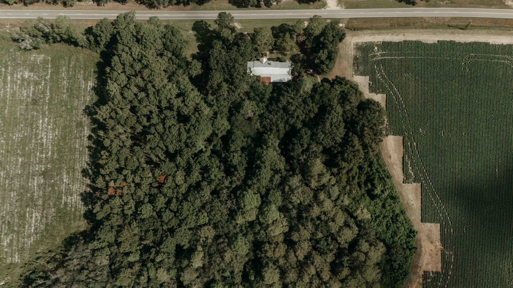 Image for 2,472 +/- Sq Ft Brick Home on 5 Acres in Thomas County, Georgia