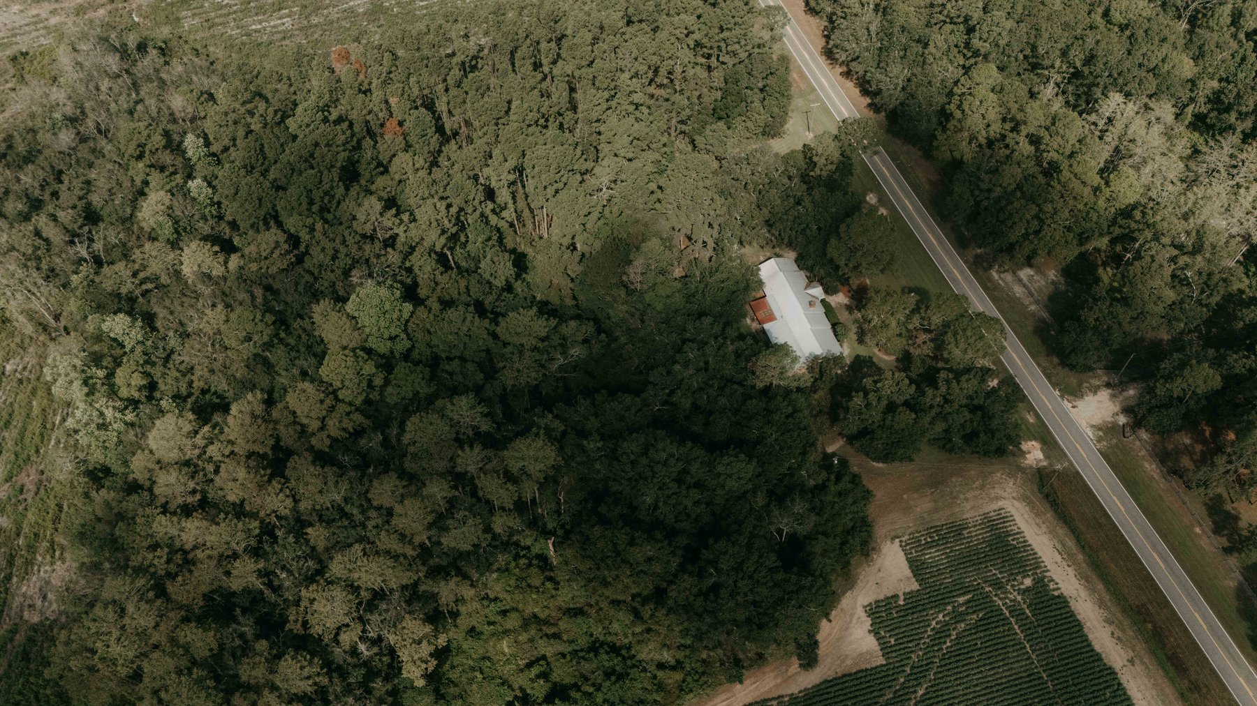 Image for 2,472 +/- Sq Ft Brick Home on 5 Acres in Thomas County, Georgia