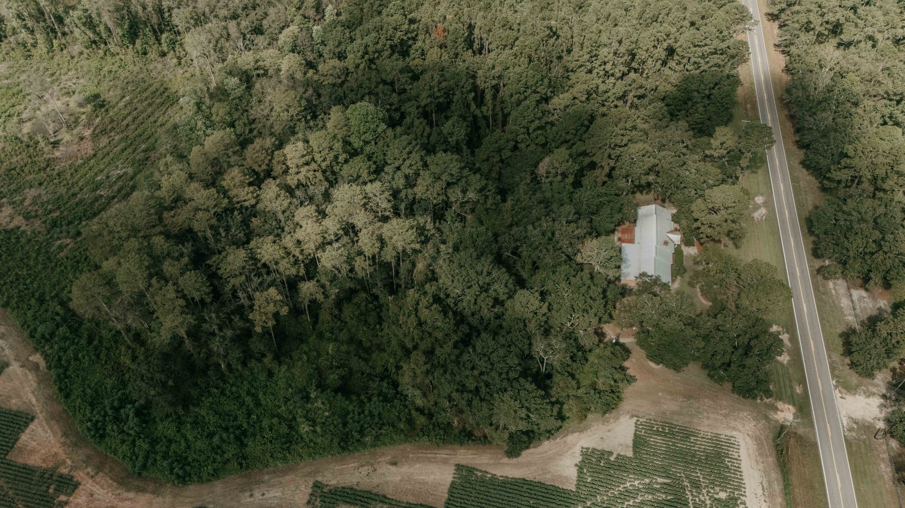 Image for 2,472 +/- Sq Ft Brick Home on 5 Acres in Thomas County, Georgia