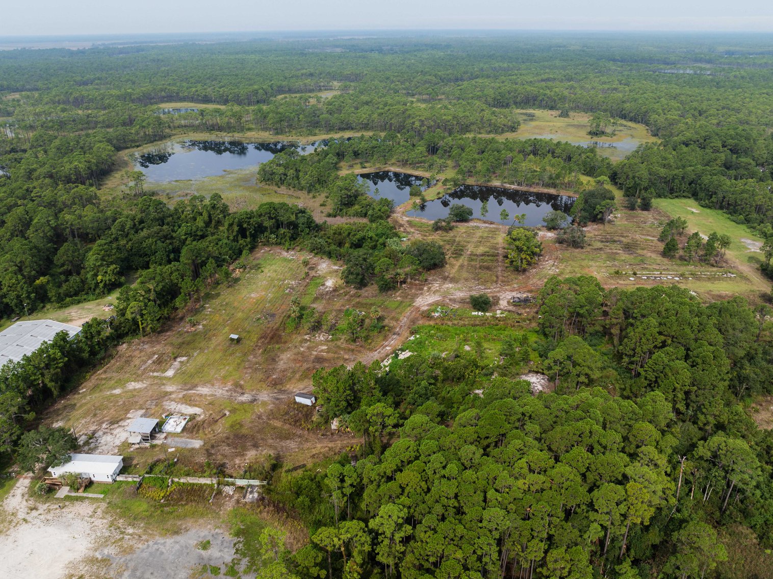 Image for 61± Acres on Coastal Hwy – Panacea, FL – Gateway to the Gulf Coast