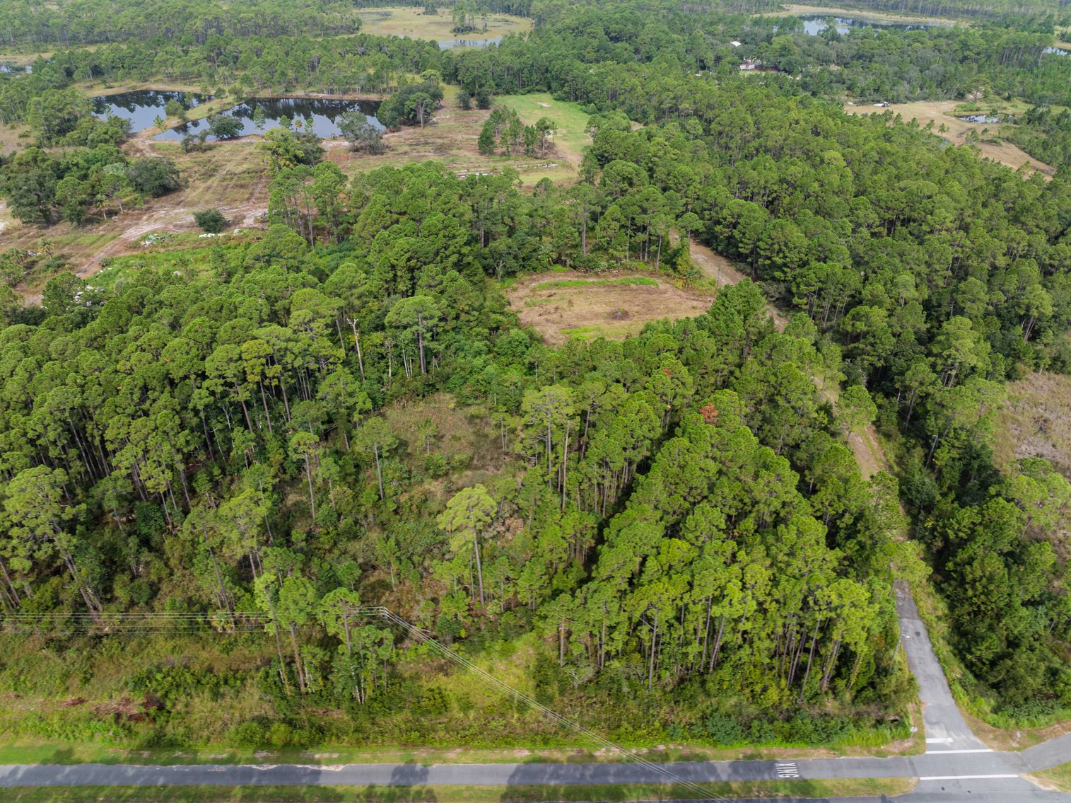 Image for 61± Acres on Coastal Hwy – Panacea, FL – Gateway to the Gulf Coast